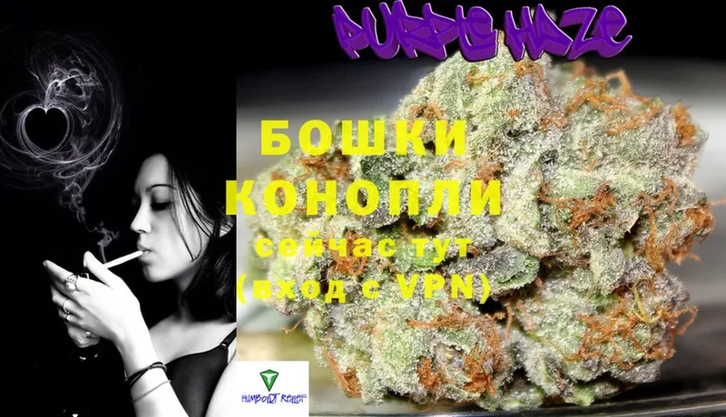 Каннабис OG Kush  купить   Артёмовский 